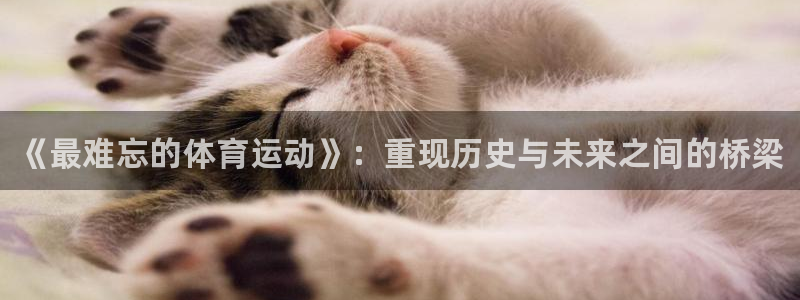 JJB竞技宝官方正版app开户：《最难忘的体育运动》