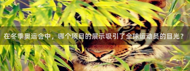 JJB竞技宝官网下载招商电话地址是多少：在冬季奥运会