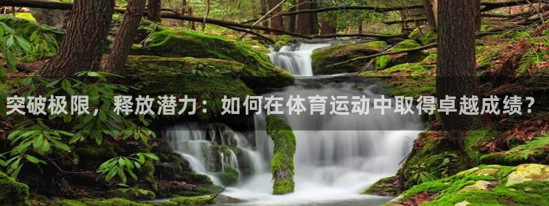 JJB竞技宝官网下载招商：突破极限，释放潜力：如何在