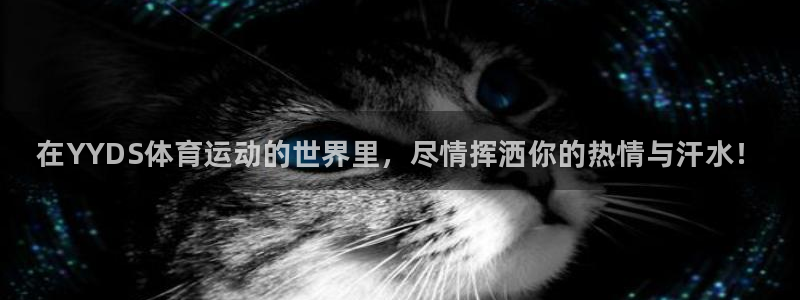 JJB竞技宝官方正版app集团：在YYDS体育运动的