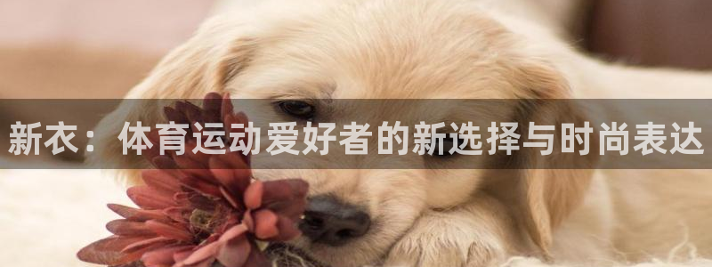JJB竞技宝官网下载招商电话号码是多少：新衣：体育运