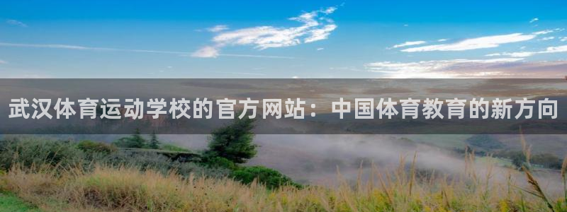 JJB竞技宝官网下载招商电话地址查询：武汉体育运动学