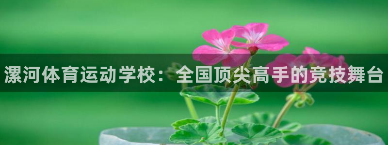 JJB竞技宝官方正版app娱乐平台：漯河体育运动学校