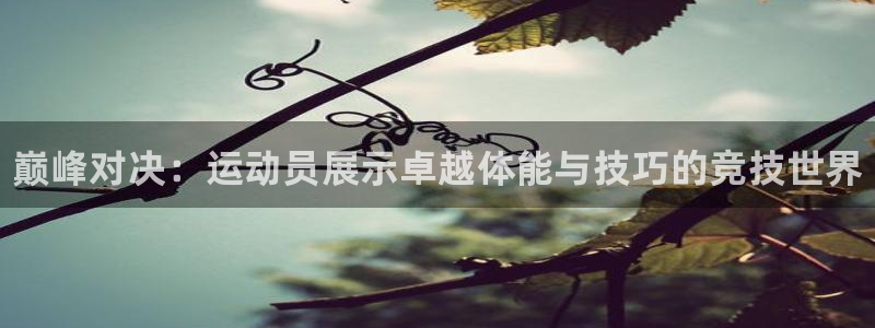 JJB竞技宝官网下载招商电话地址查询：巅峰对决：运动