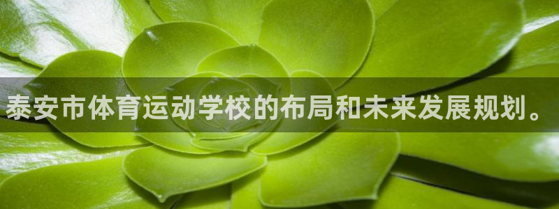 JJB竞技宝官网下载联系电话：泰安市体育运动学校的布