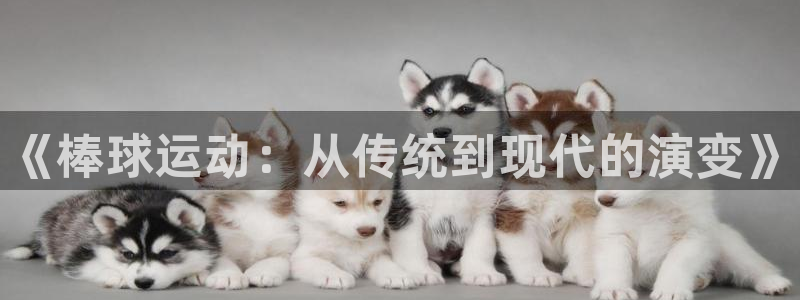 JJB竞技宝官网下载娱乐