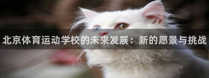 JJB竞技宝官网下载招商