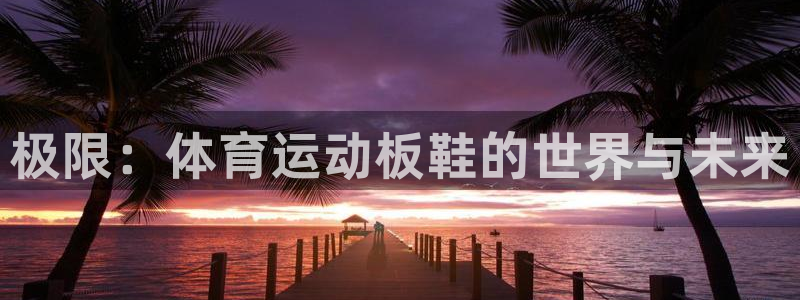 JJB竞技宝官网下载是干嘛的公司：极限：体育运动板鞋的世界与