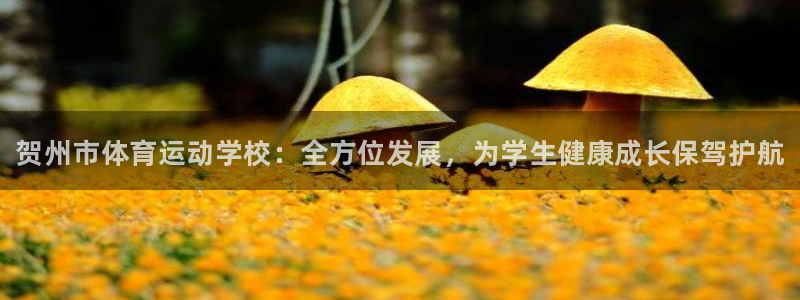 JJB竞技宝官方正版app集团官网首页网址