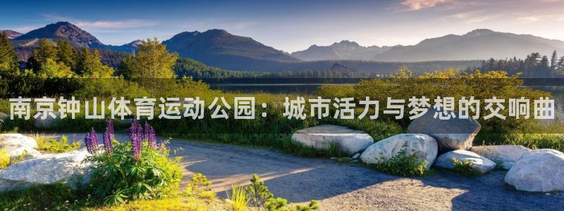 JJB竞技宝官方正版app集团E.ON：南京钟山体育运动公园