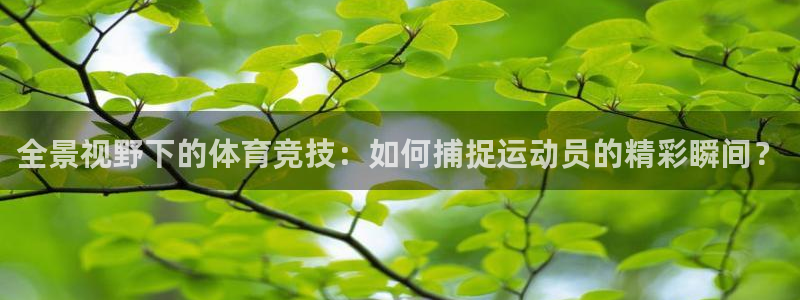 海南JJB竞技宝官网下载：全景视野下的体育竞技：如何