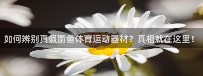 JJB竞技宝官网下载招商电话地址