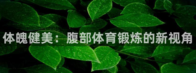 JJB竞技宝官方平台体育