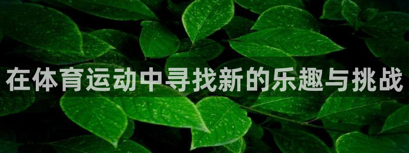 JJB竞技宝官网下载招商：在体育运动中寻找新的乐趣与