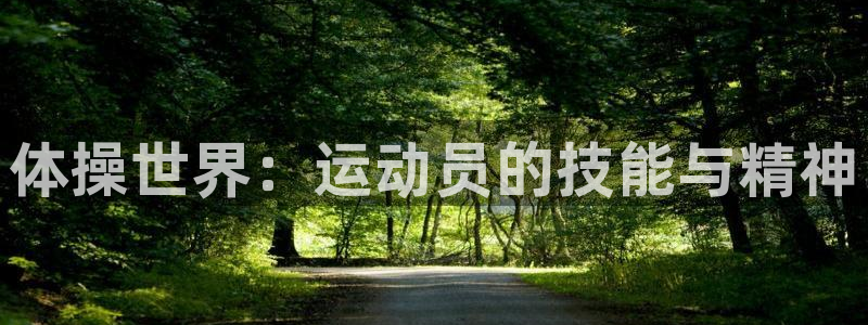 JJB竞技宝官网下载招商电话号码是多少：体操世界：运