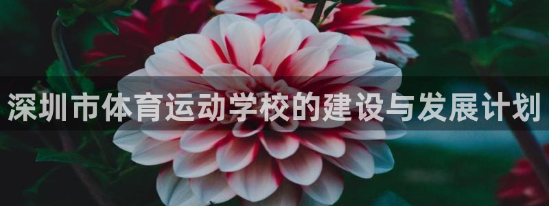 JJB竞技宝官网下载招商电话号码是多少：深圳市体育运