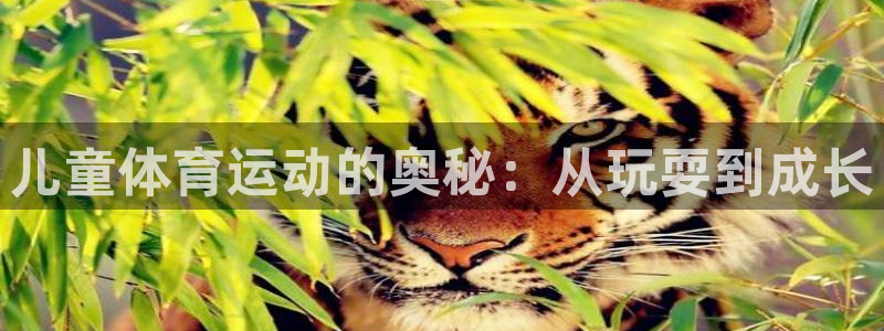 JJB竞技宝官网下载平台注册要钱吗安全吗：儿童体育运