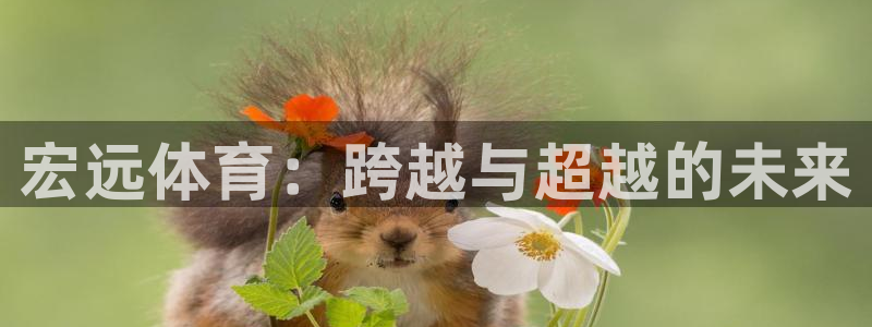 JJB竞技宝官方正版app集团E.ON：宏远体育：跨