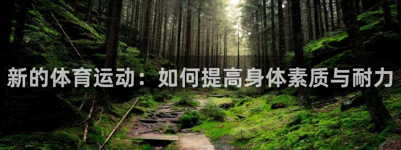 JJB竞技宝官方正版app新能源：新的体育运动：如何