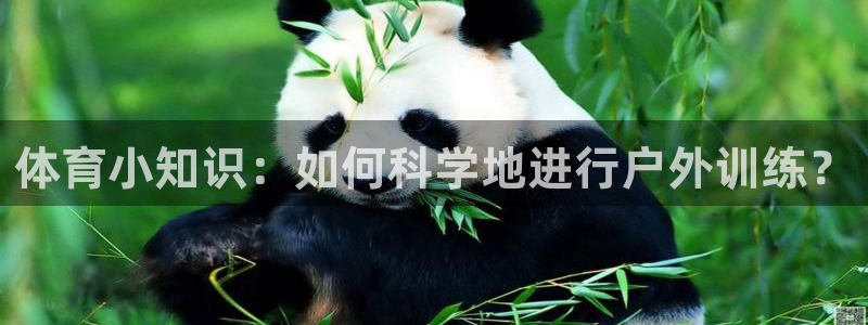 JJB竞技宝官方正版app神州：体育小知识：如何科学