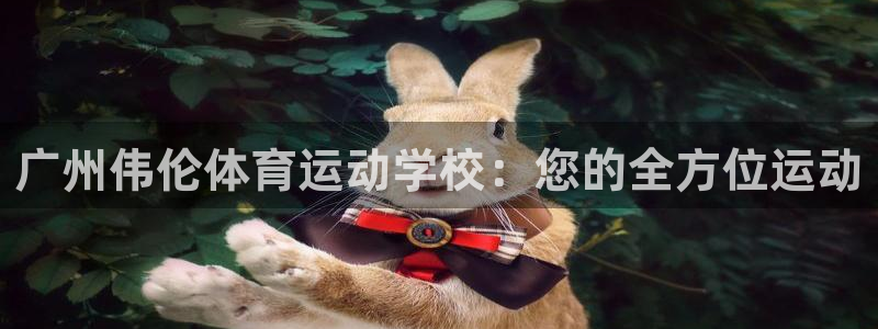 JJB竞技宝官方正版app官网：广州伟伦体育运动学校
