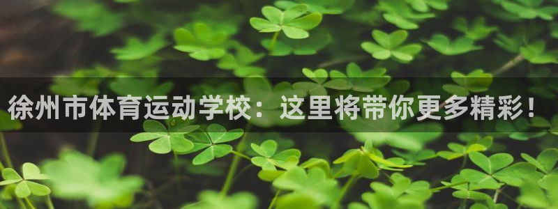 JJB竞技宝官方正版app五金厂：徐州市体育运动学校
