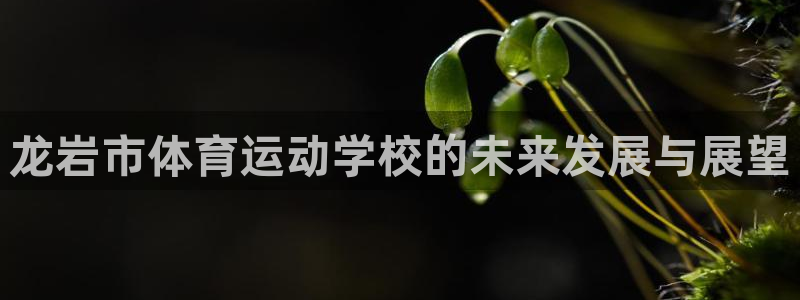 JJB竞技宝官方正版app五金厂：龙岩市体育运动学校