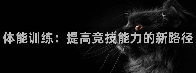 JJB竞技宝官方正版app官网：体能训练：提高竞技能力的新路