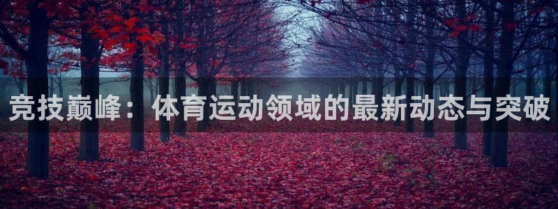 海南JJB竞技宝官网下载：竞技巅峰：体育运动领域的最