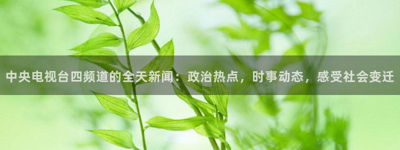 柠檬直播网：中央电视台四频道的全天新闻：政治热点，时事动态，感受社会变迁