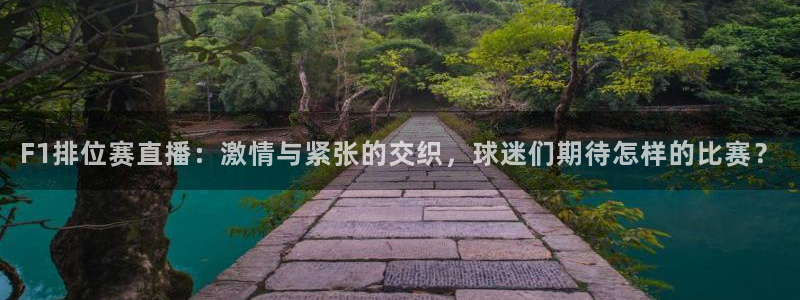 柠檬直播nba篮球：F1排位赛直播：激情与紧张的交织，球迷们期待怎样的比赛？