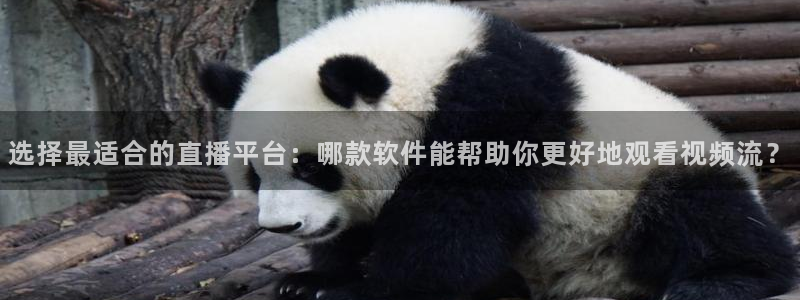 cba柠檬直播：选择最适合的直播平台：哪款软件能帮助你更好地观看视频流？