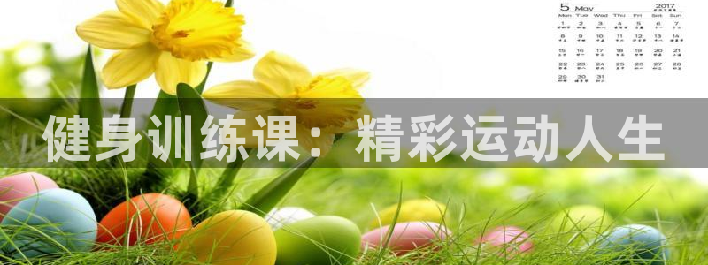 竞技宝客服打不开怎么办：健身训练课：