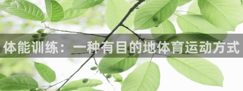 竞技宝诈骗平台：体能训练：一种有目的地体育运动方式
