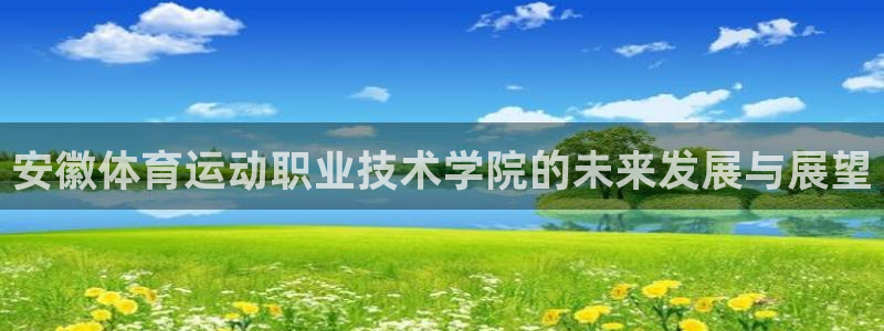 竞技宝登录入口在哪里：安徽体育运动职业技术学院的未来发展与展