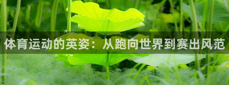 竞技宝客服电话人工服务：体育运动的英姿：从跑向世界到赛出风范