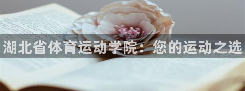  竞技宝跑路：湖北省体育运动学院：您的运动之选