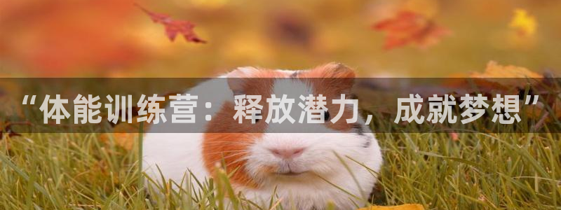 竞技宝手机端下载教程：“体能训练营：释放潜力，成就梦想”