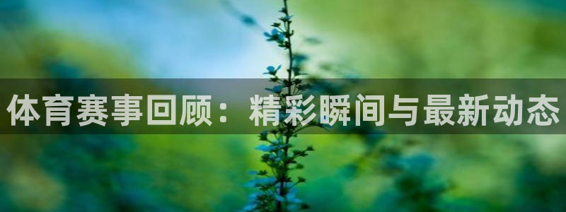 竞技宝官网dota2：体育赛事回顾：精彩瞬间与最新动态