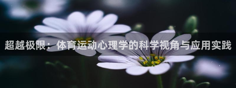  竞技宝下载ios：超越极限：体育运动心理学的科学视角与应用实