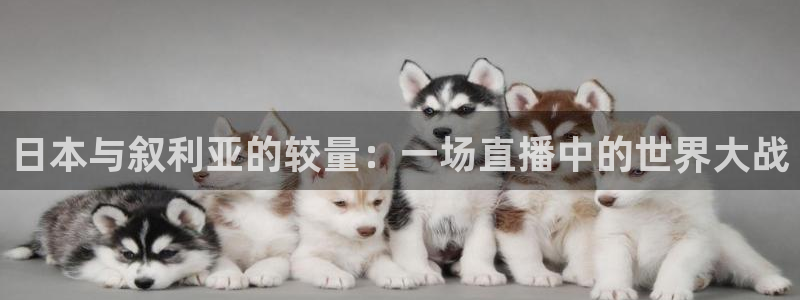 柠檬直播篮球：日本与叙利亚的较量：一场直播中的世界大战