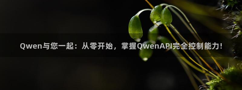 柠檬体育直播官网：Qwen与您一起：从零开始，掌握QwenAPI完全控制能力!