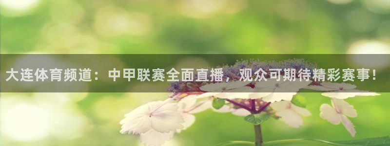 柠檬直播nba篮球