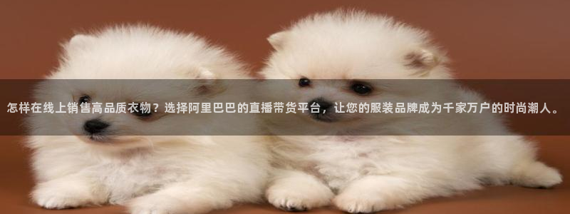 柠檬体育直播网是哪个