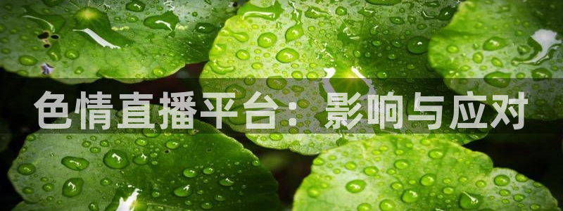 柠檬体育在线直播nba