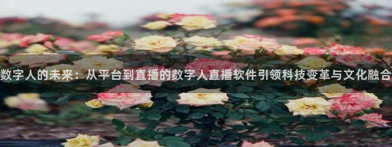 柠檬直播\'：数字人的未来：从平台到直播的数字人直播软件引领科技变革与文化融合