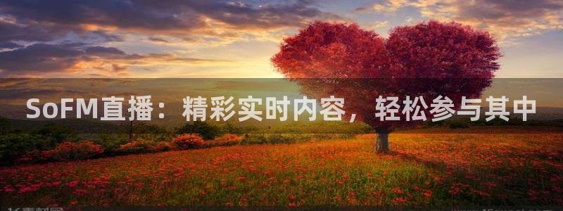 足球比赛直播在线观看柠檬直播：SoFM直播：精彩实时内容，轻松参与其中