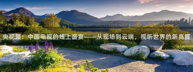 柠檬直播nba体育：央视频：中国电视的线上盛宴——从现场到云端，视听世界的新高度